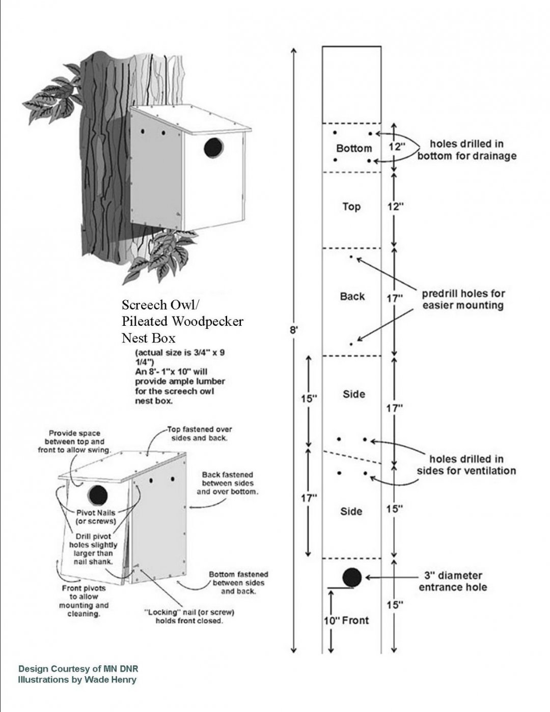 Printable Tree Swallow House Plans Printable World Holiday